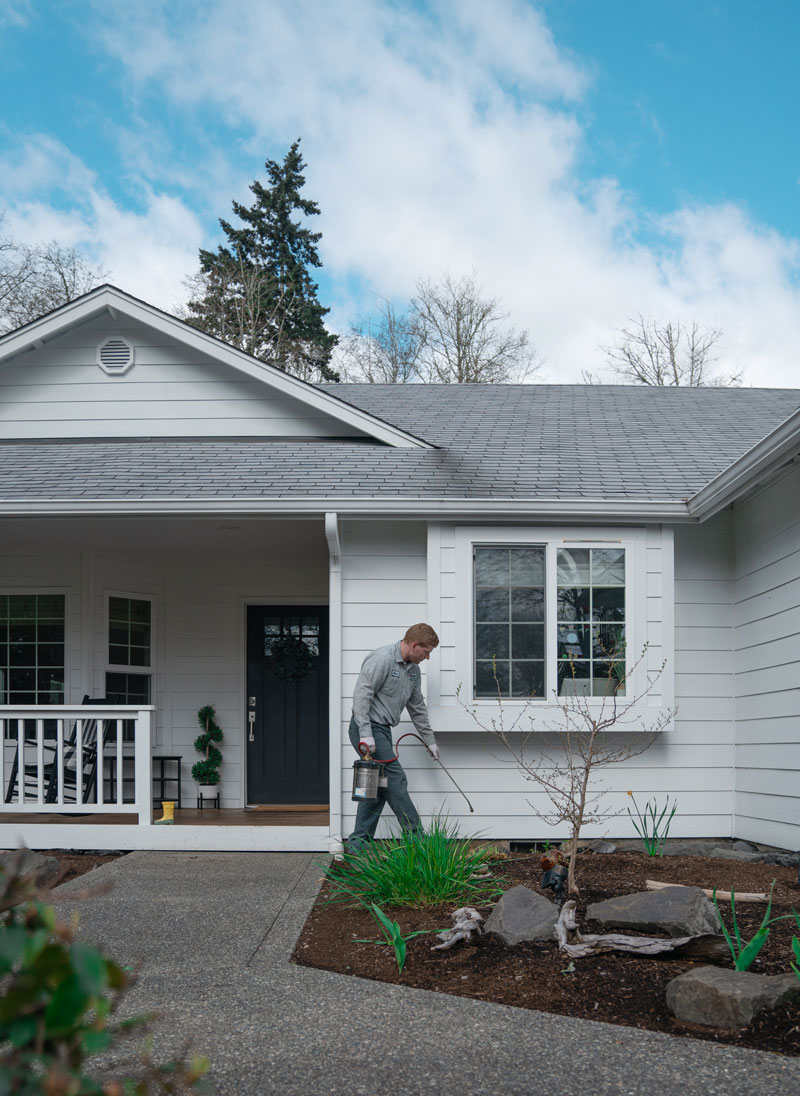 Odorous house ant treatment