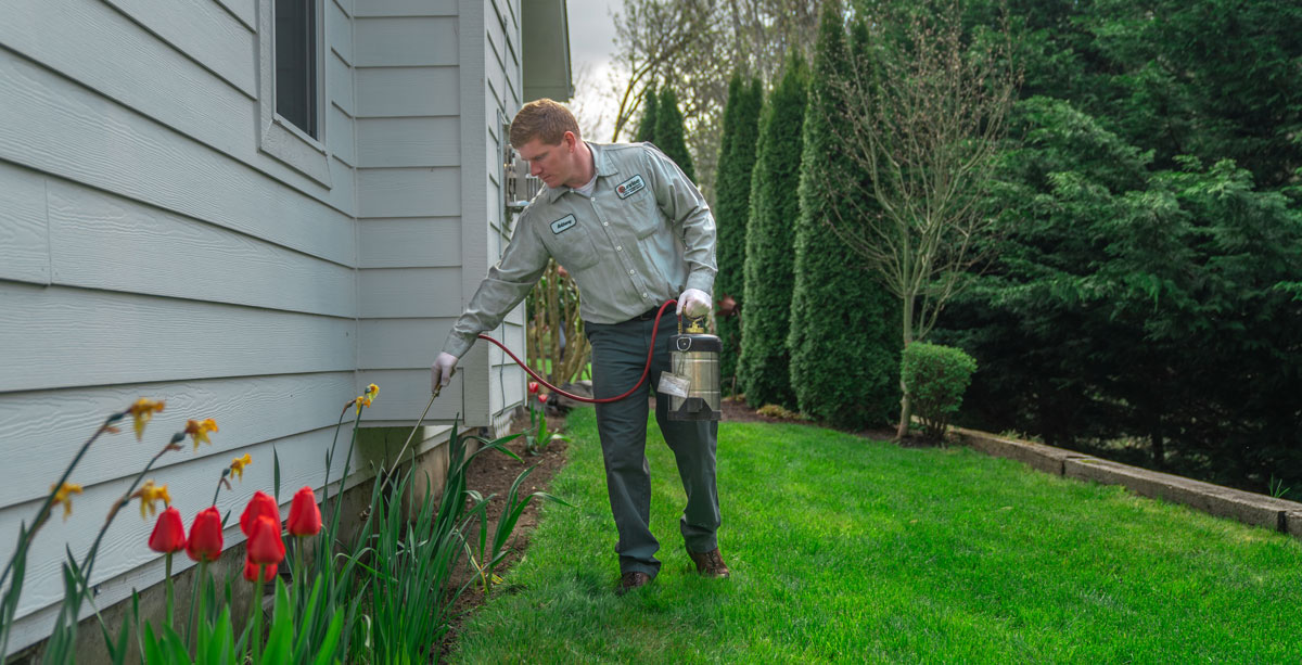 Professional technician applying pest control treatment around home