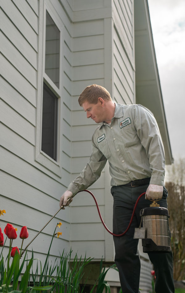 Professional pest control technician applying treatment responsibly