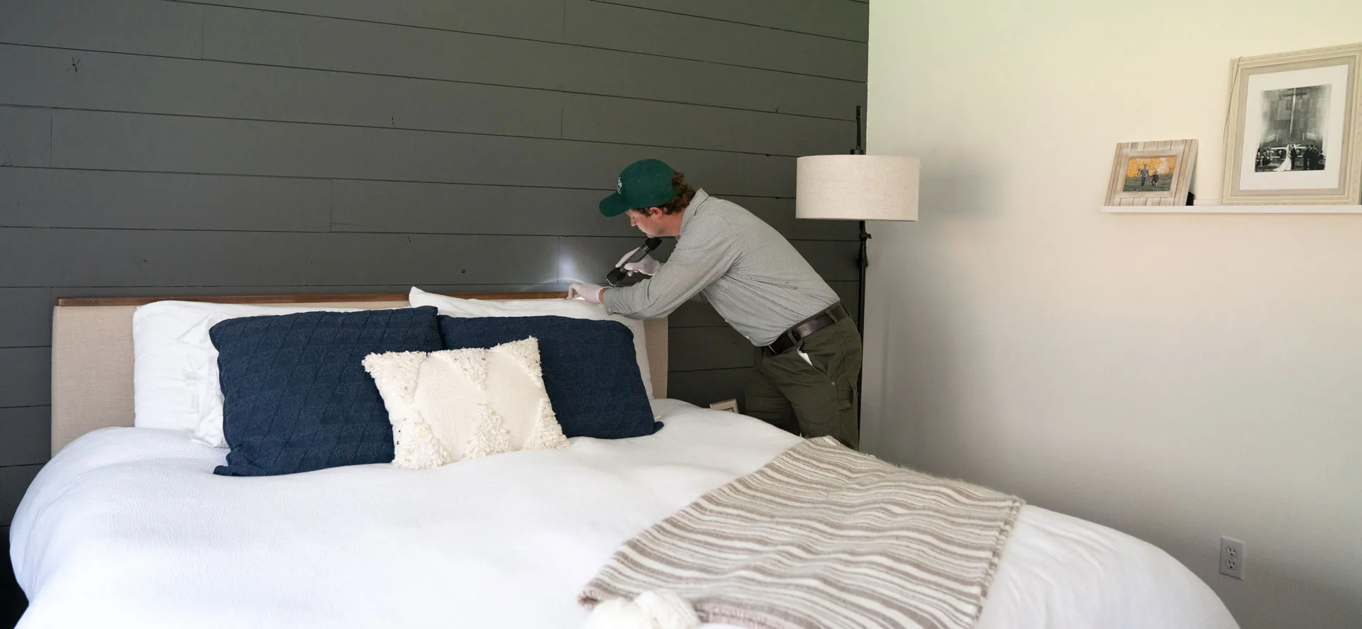 Prevent a Flea Infestation with These Simple Tips