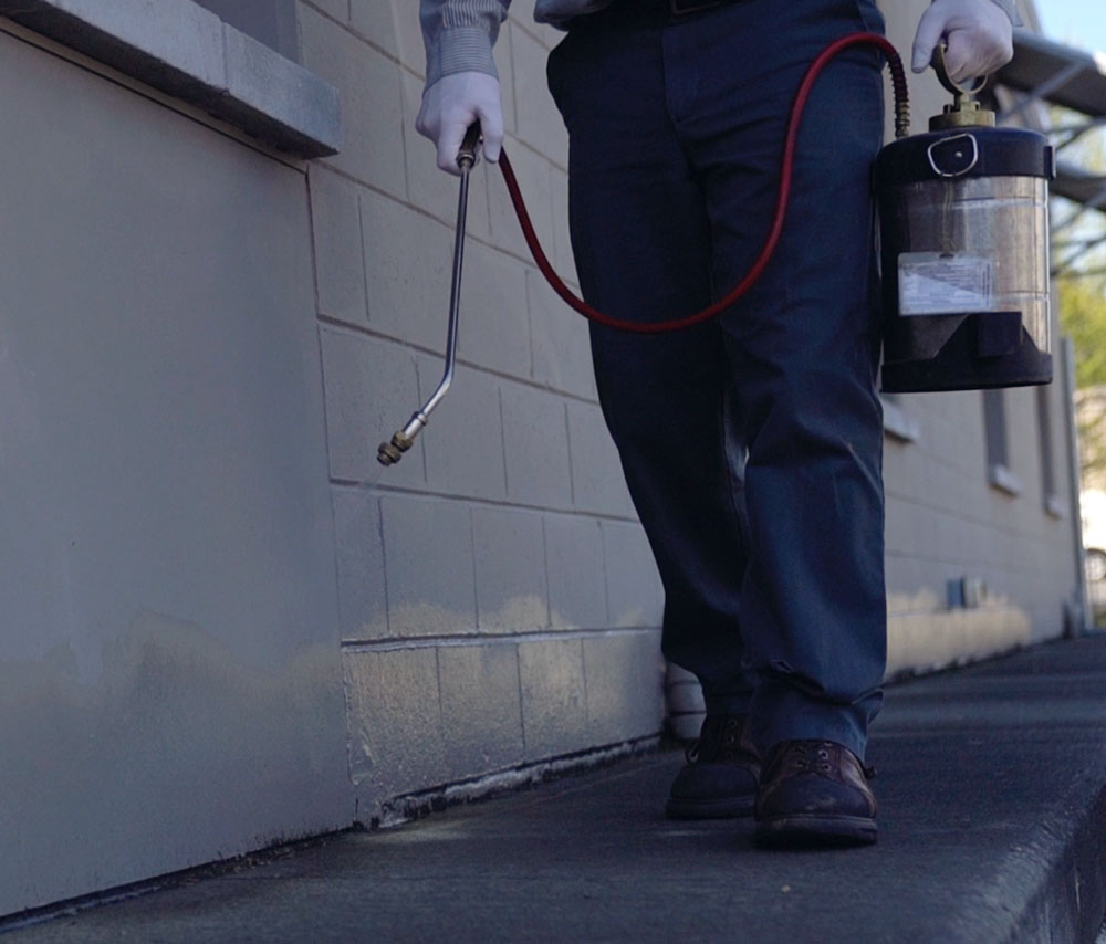 Commercial pest control team