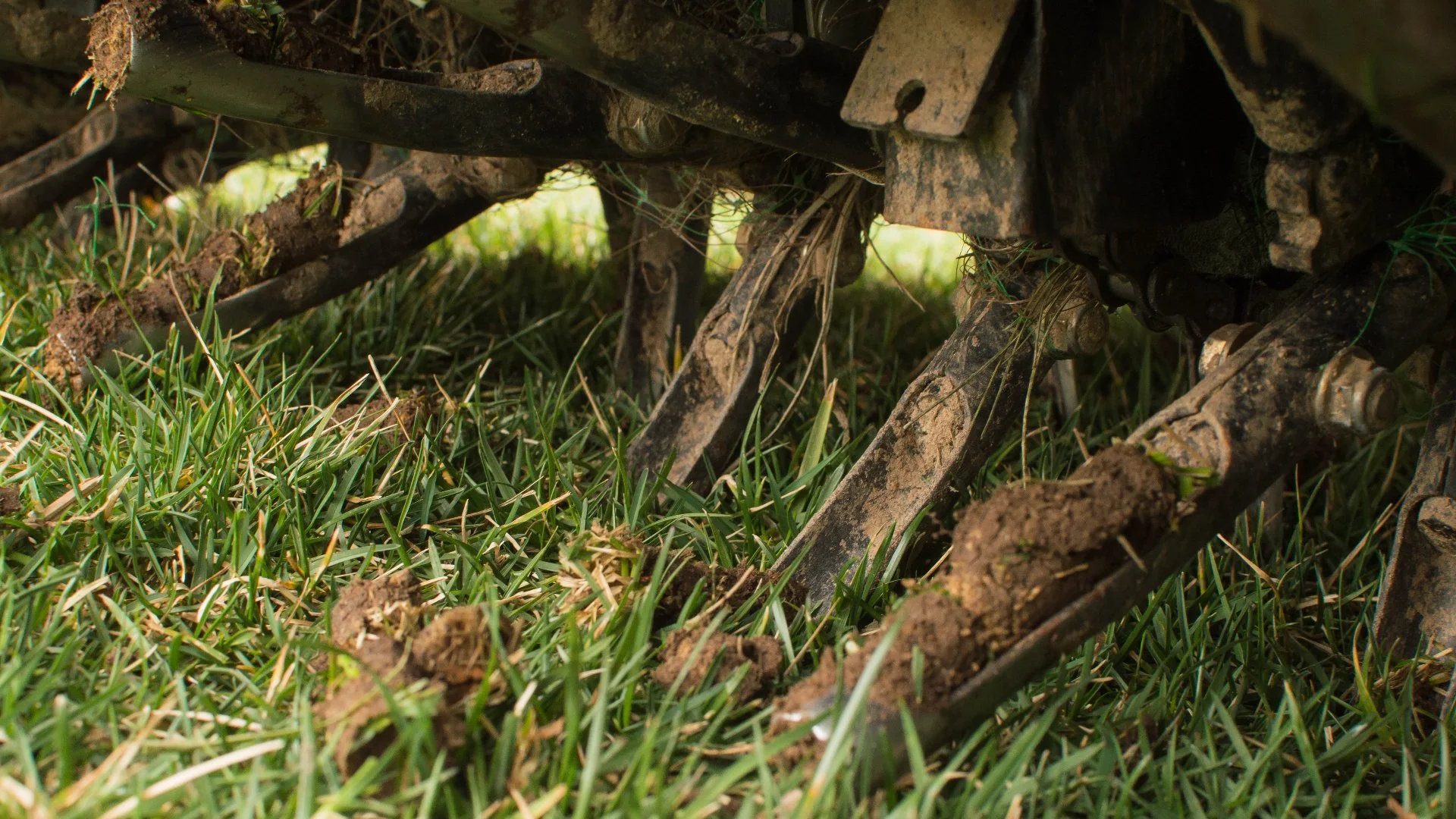 It’s a Good Idea to Have Your Lawn Aerated This Spring!