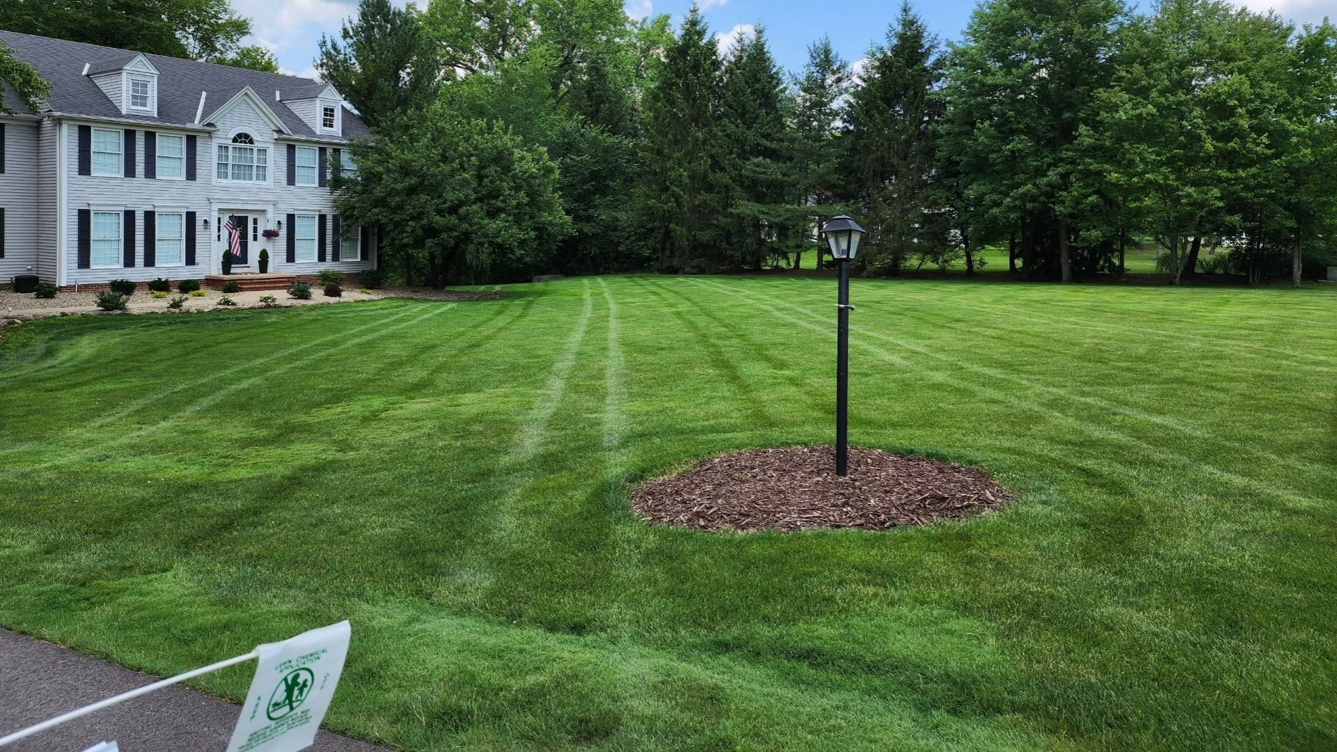 Pre-Emergent Weed Control Is a Must in the Spring