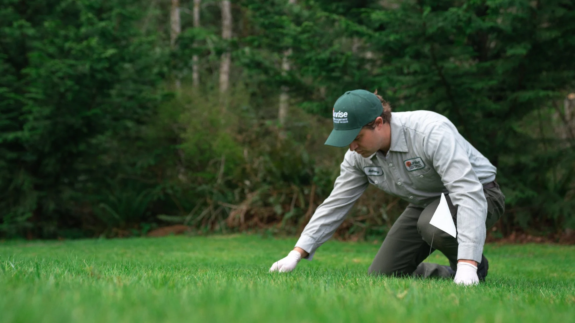 A person in a uniform kneels on grass, inspecting the ground in a wooded area.