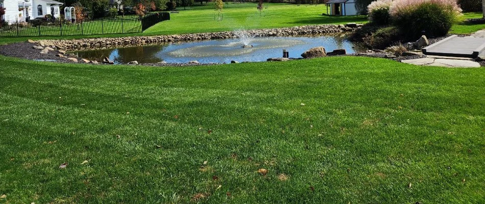 Green grass around a pond in Bremerton, WA.