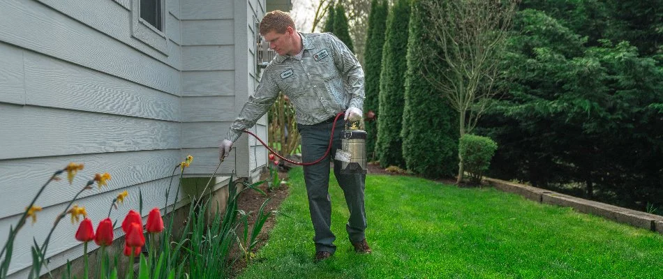 Tech spraying a pest treatment around the side of a house in Bremerton, WA.