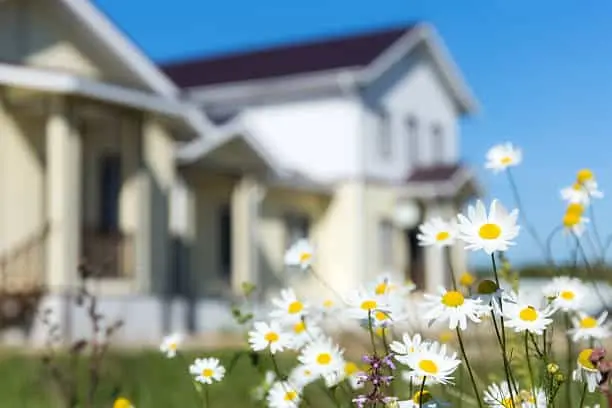 Is Pest Control Worth It? How to Keep Your Home Pest-Free in Springtime with Sunrise Pest Management