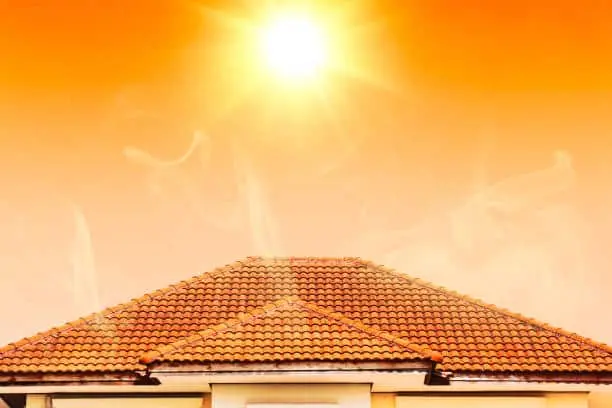 Preventing Summer Pests: Tips to Keep Your Home Bug-Free During the Warm Months