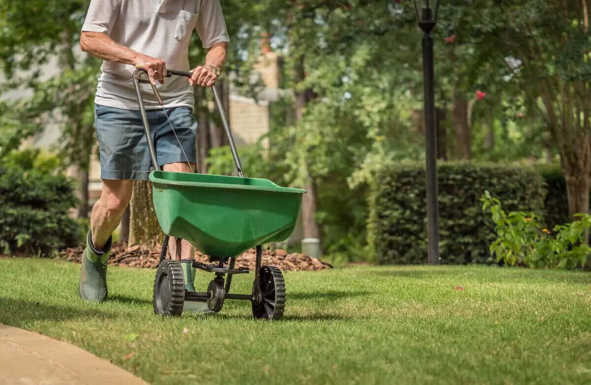 What You Need to Know About Lawn Fertilization Services in Bremerton, WA