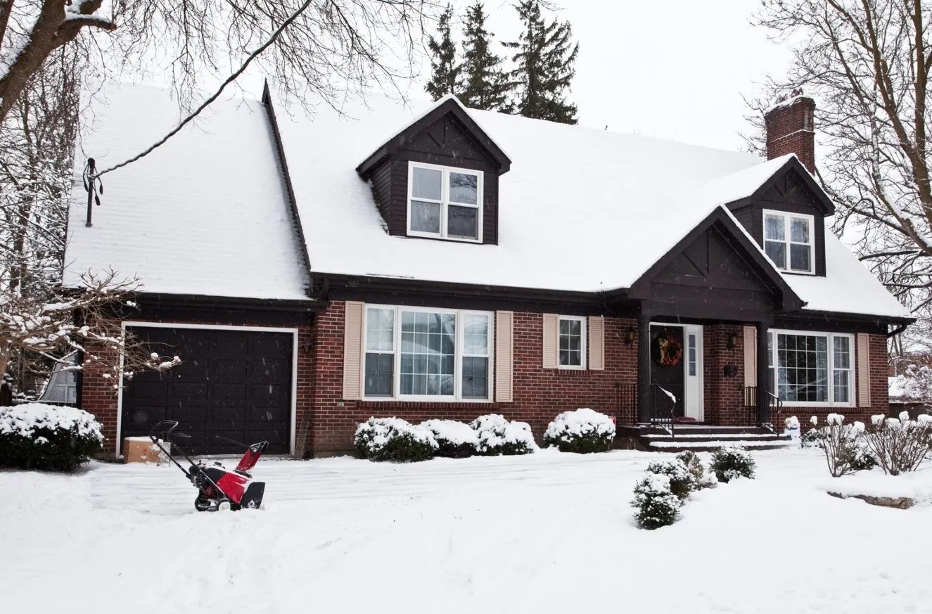 Get Rid of Stink Bugs in Your Home This Winter