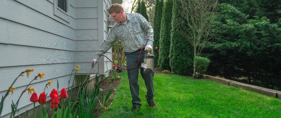 Ant spray being applied by a professional in Kitsap County, WA.