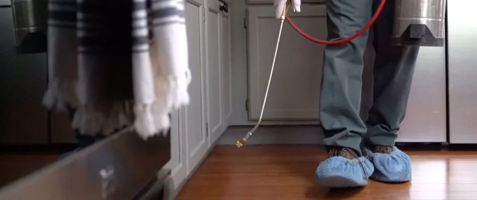 Applying cockroach control treatment in a kitchen in Bremerton, WA.