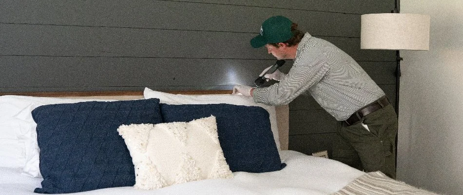 Crew inspecting a bed in Bremerton, WA, for bed bugs.