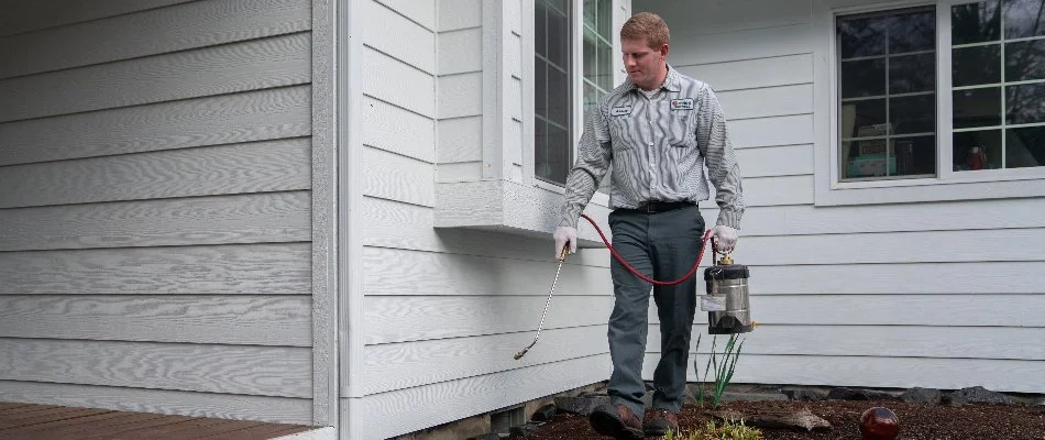 Crew member applying ant spray to the side of a house in Kirkland, WA.