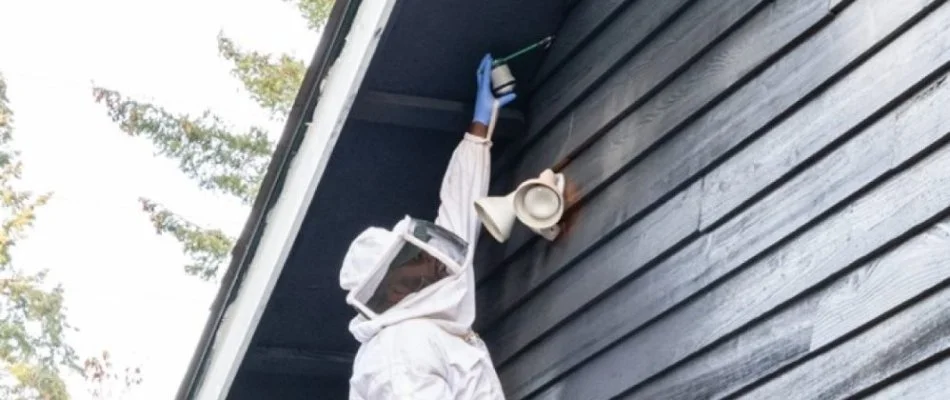 Crew spraying treatment on the eaves of a house in Bremerton, WA, for all pest protection service.