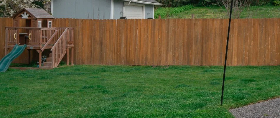 Healthy, green lawn on a property in Seattle, WA.