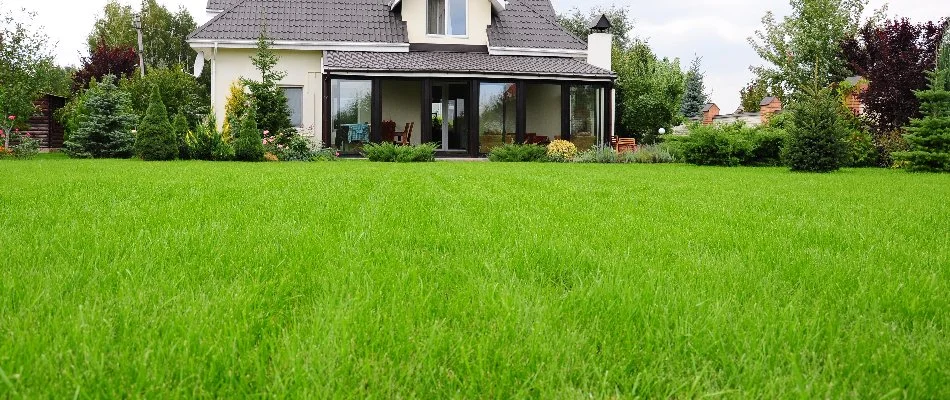 Healthy, green lawn on a residential property in Bremerton, WA.
