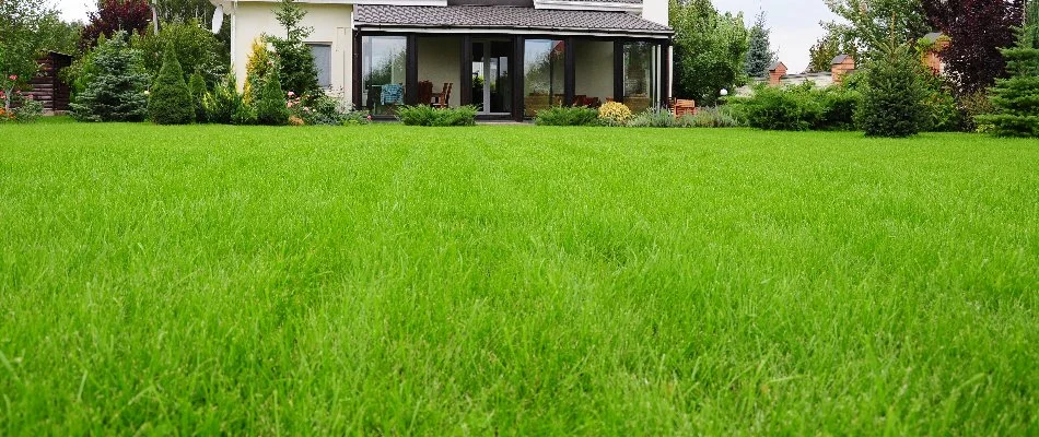 Healthy, fertilized lawn with house in background on a property in Des Moines, WA.