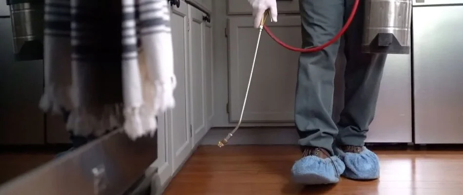 Interior pest treatment for a kitchen in Auburn, WA.