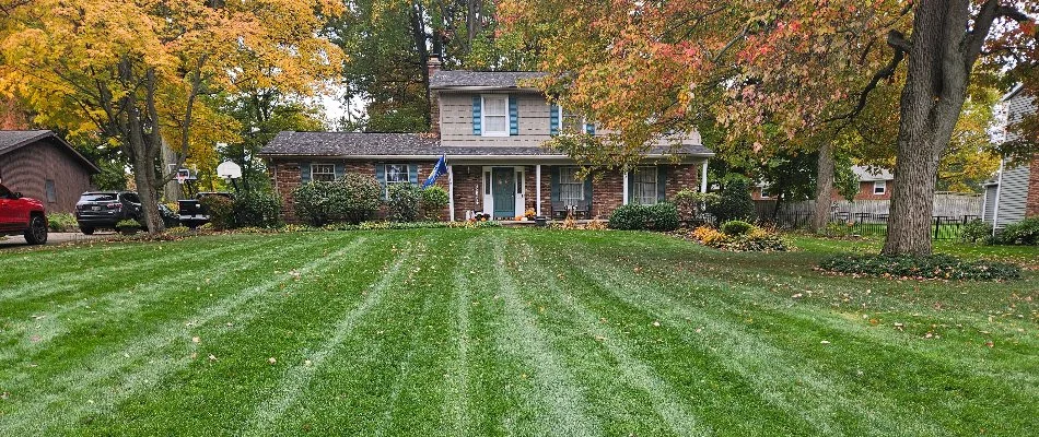 Neatly striped green lawn with fall foliage in Bremerton, WA.