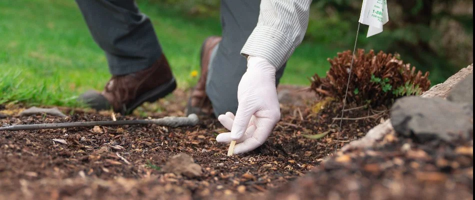 Worker applying mole bait in Artondale, WA.