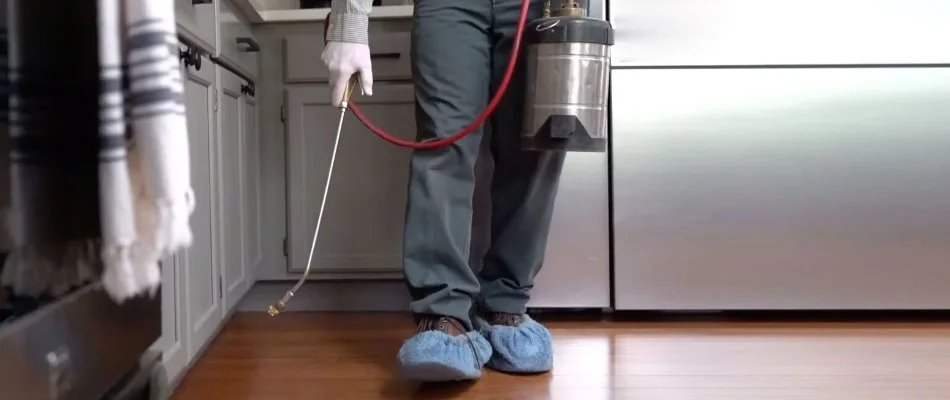Worker applying a pest control treatment in a kitchen in Lake Stevens, WA.