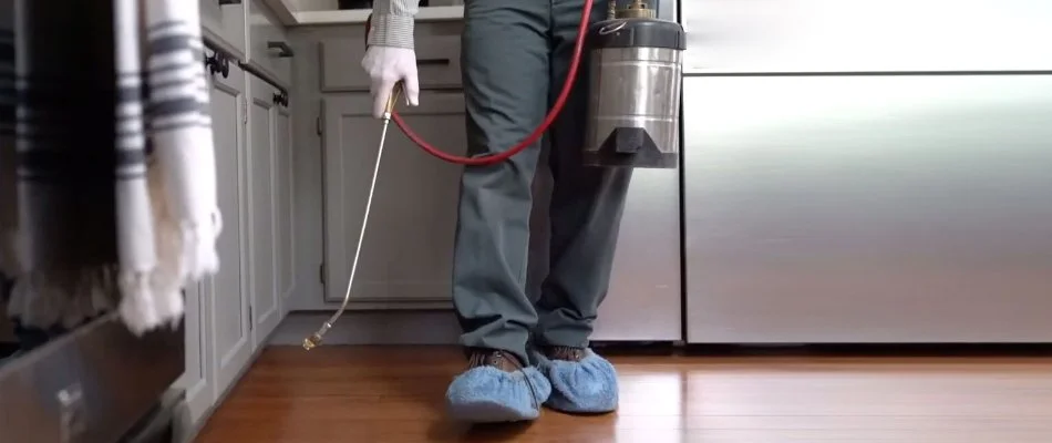 Pest control treatment being applied in a kitchen in Graham, WA.