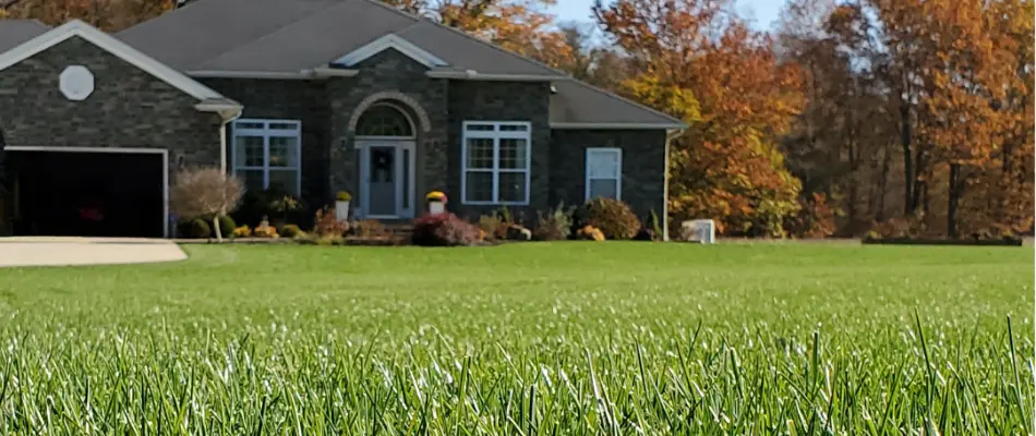 Lush green lawn in front of a house in Bremerton, WA.