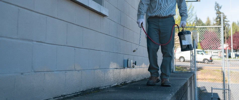 Professional applying pest control treatment on a wall in Clallam County, WA.