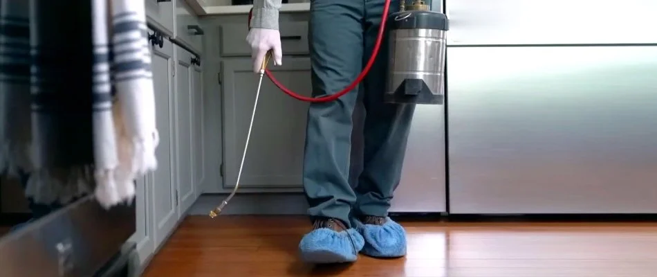 Professional spraying a roach control treatment in a home in Bremerton, WA.