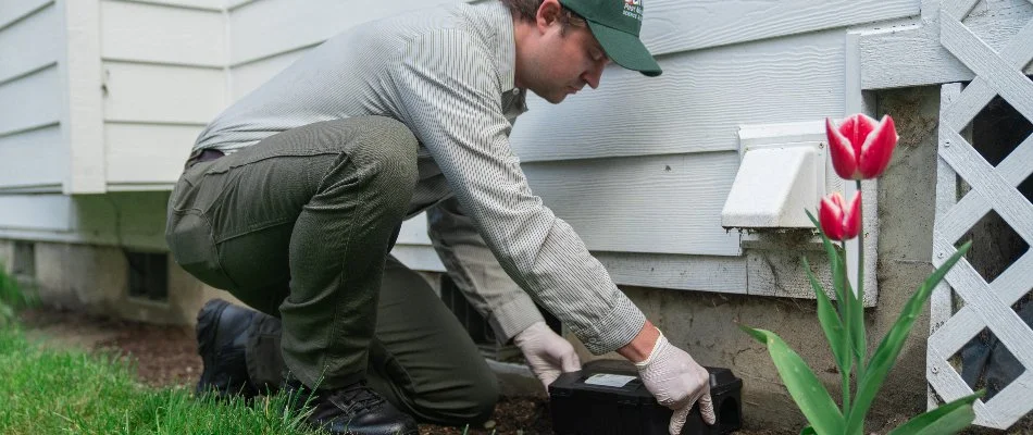 Worker placing rodent trap on a property in Seattle, WA.