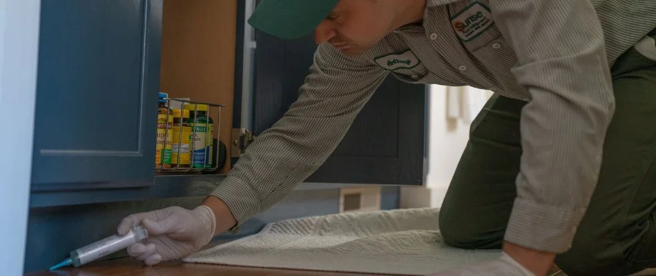 Tech applying gel bait under a cabinet in Lynnwood, WA.