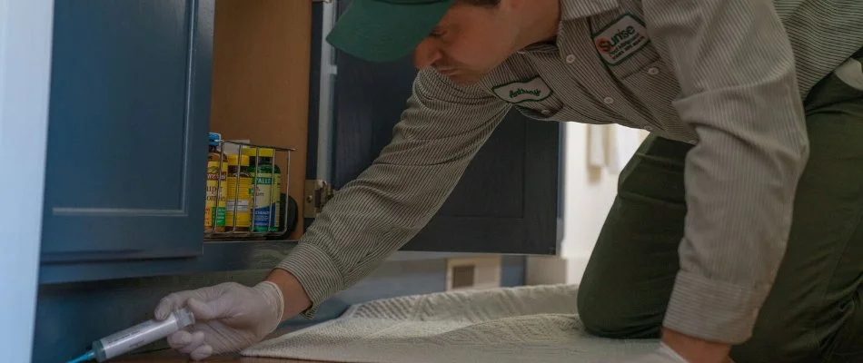 Tech applying a pest treatment under a cabinet in Everett, WA.