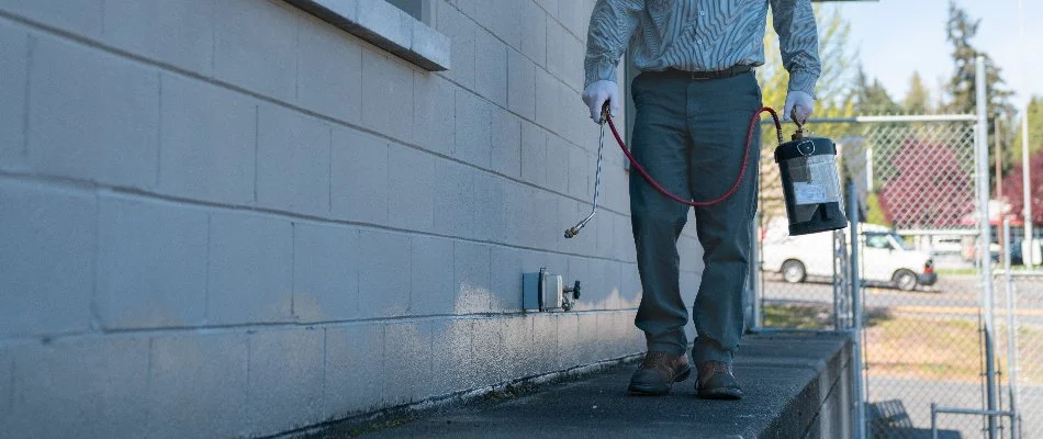 Tech spraying a pest control treatment on the exterior wall of a building in Bellevue, WA.