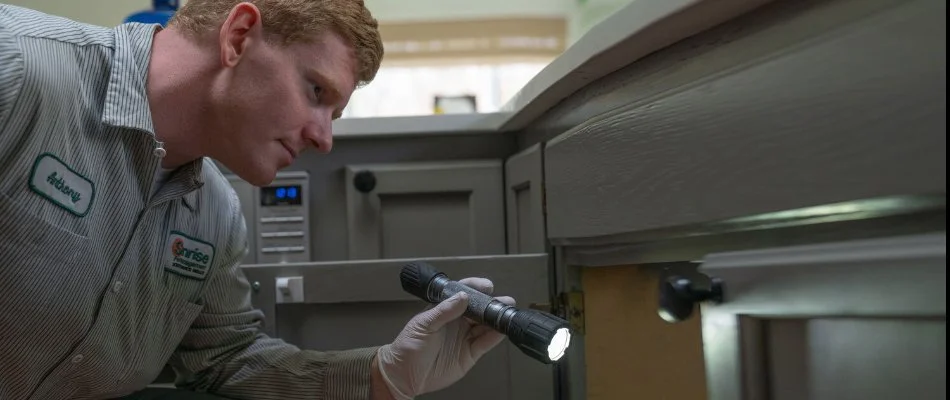 Tech in Bremerton, WA, with a flashlight inspecting in a cabinet.