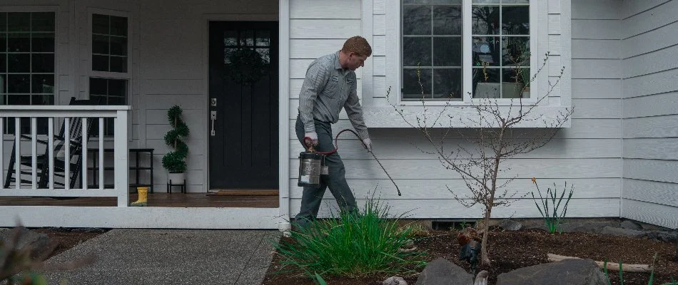 Worker spraying for ants along house in Bremerton, WA.