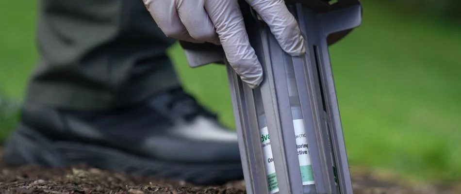 Termite bait station being placed in the soil in Mercer Island, WA.