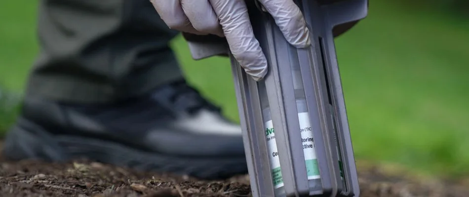 Termite bait station being put in the ground in East Hill-Meridian, WA.