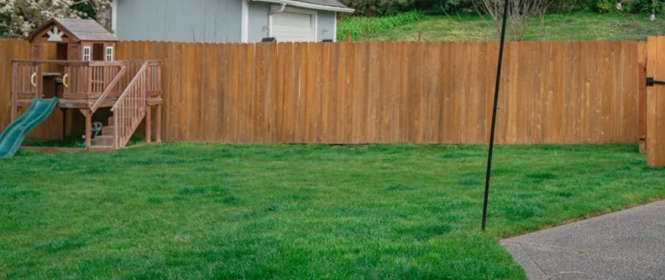 Thick, healthy grass in Bremerton, WA, with a mini play area and a fence.