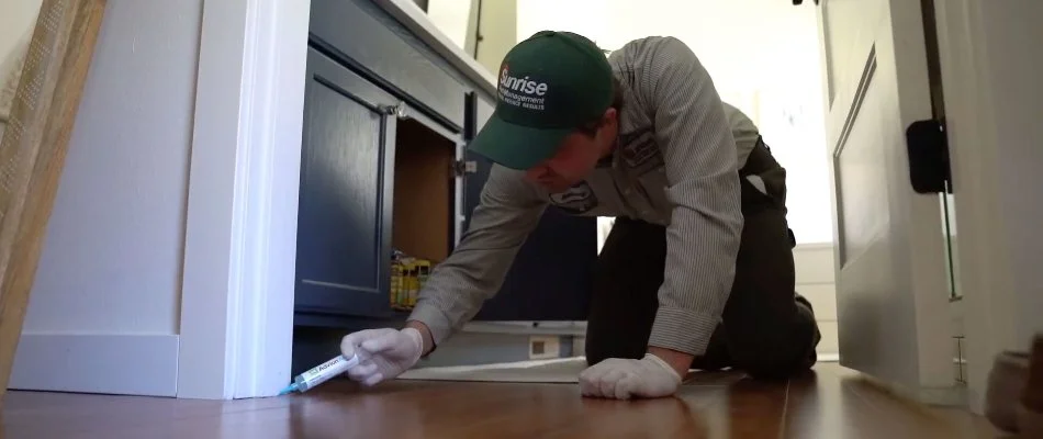 Worker applying gel bait in a home in Shelton, WA.