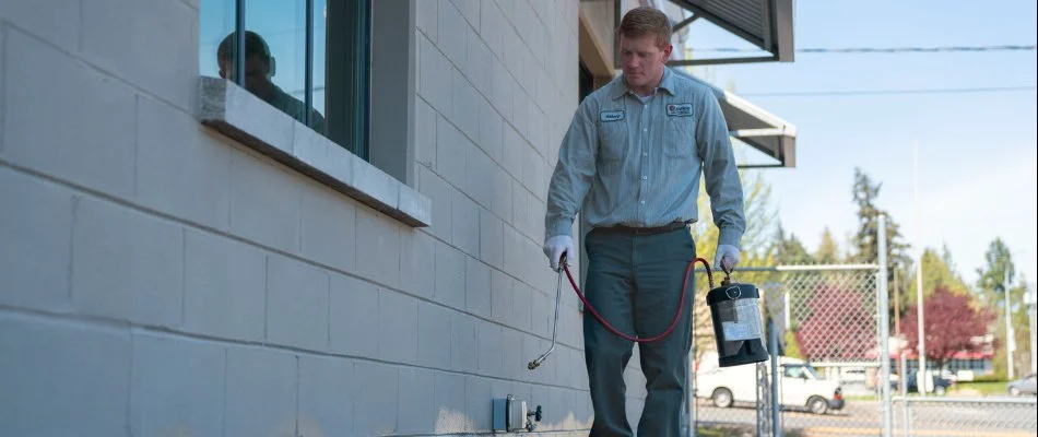 Technician applying pest treatment on side of building in Bremerton, WA.