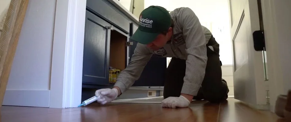 Worker applying treatment to baseboard in Grays Harbor County, WA.