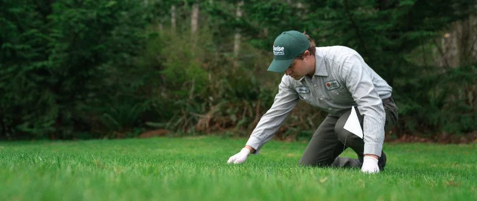 Worker checking for moles in North End, WA.