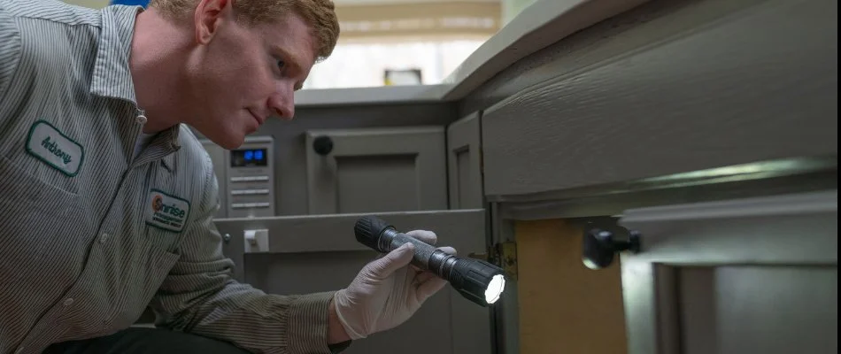 Worker in Gig Harbor, WA, inspecting inside cabinets.