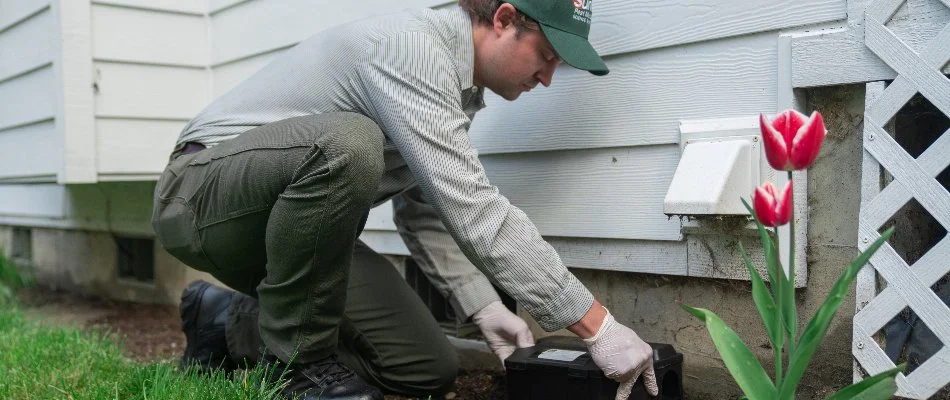 Worker setting a bait station alongside a house in Burien, WA.