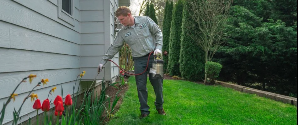 A person in a uniform applying treatment near the foundation of a house, with red tulips and green grass in the foreground.