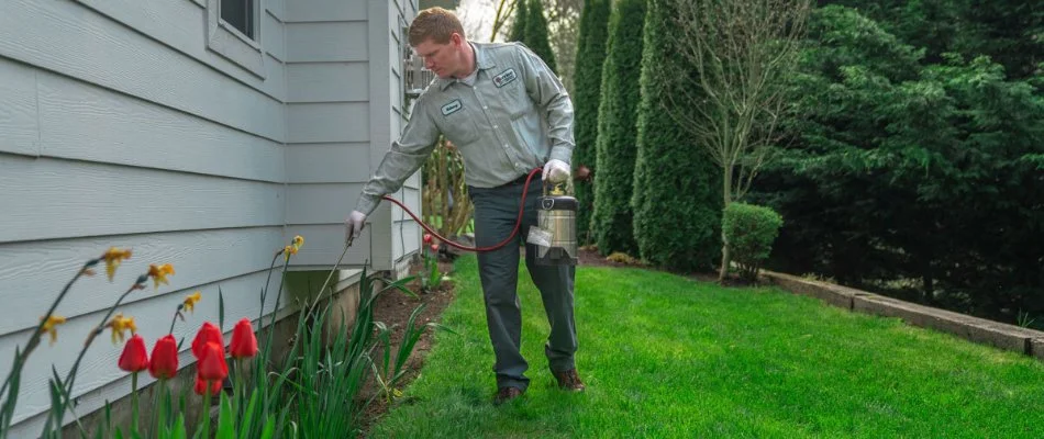 Worker applying pest control treatments near a home in Issaquah, WA.