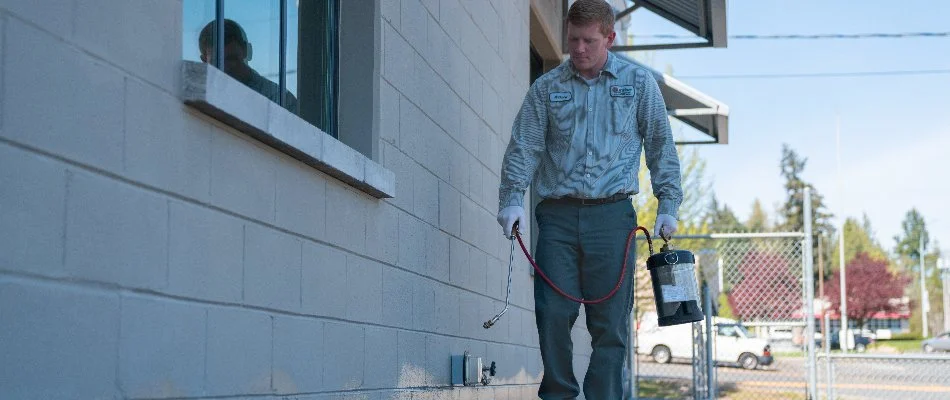 Worker spraying pest treatment in Port Angeles, WA.