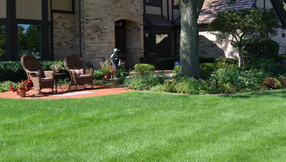 Freeform pool with nearby landscaping.