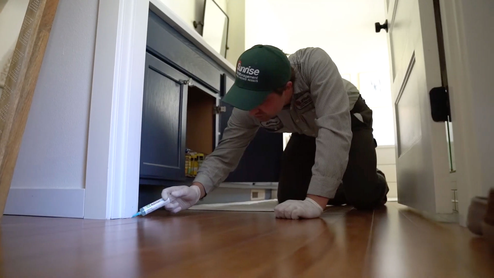 Gel bait application for cockroach control